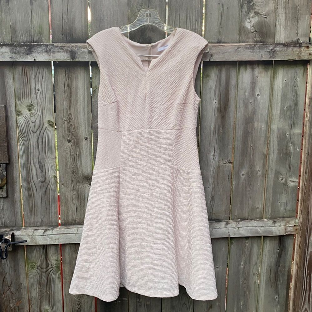 Studio 1โshimmer dress sz. 10